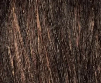 Sheila wig - Envy Collection