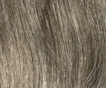 Sheila wig - Envy Collection