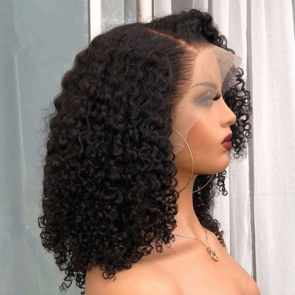 Skin Melt Full Lace Curly Wig Invisible Swiss Lace Wigs