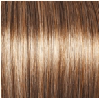 Socialite Wig by Gabor | Synthetic (Lace Front Mono Top)