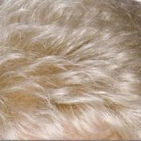 Sophia Wig - Feather Premier