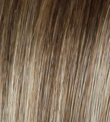 Spotlight wig - Raquel Welch
