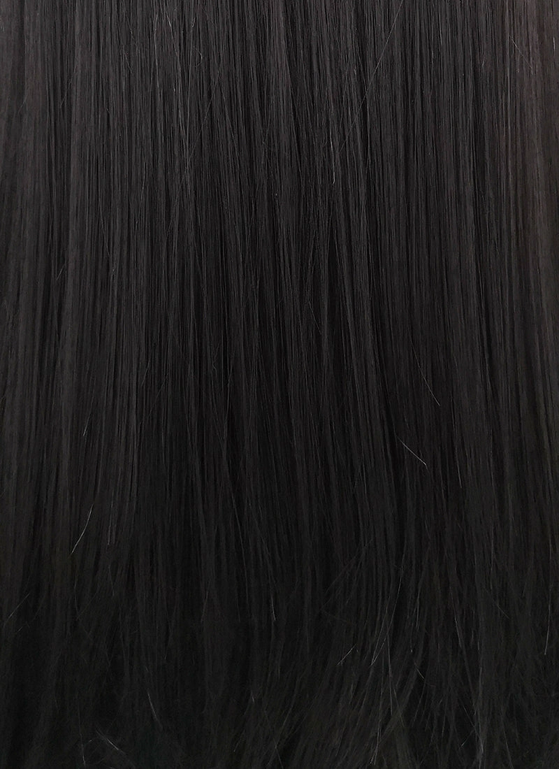 Straight Jet Black Lace Front Synthetic Wig LFB002