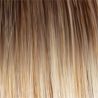 Straight Up With a Twist Elite wig - Raquel Welch Collection