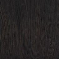 Straight Up With a Twist Elite wig - Raquel Welch Collection
