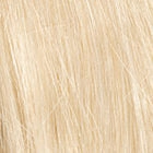 Success Story wig - Raquel Welch Black Label Human Hair Collection