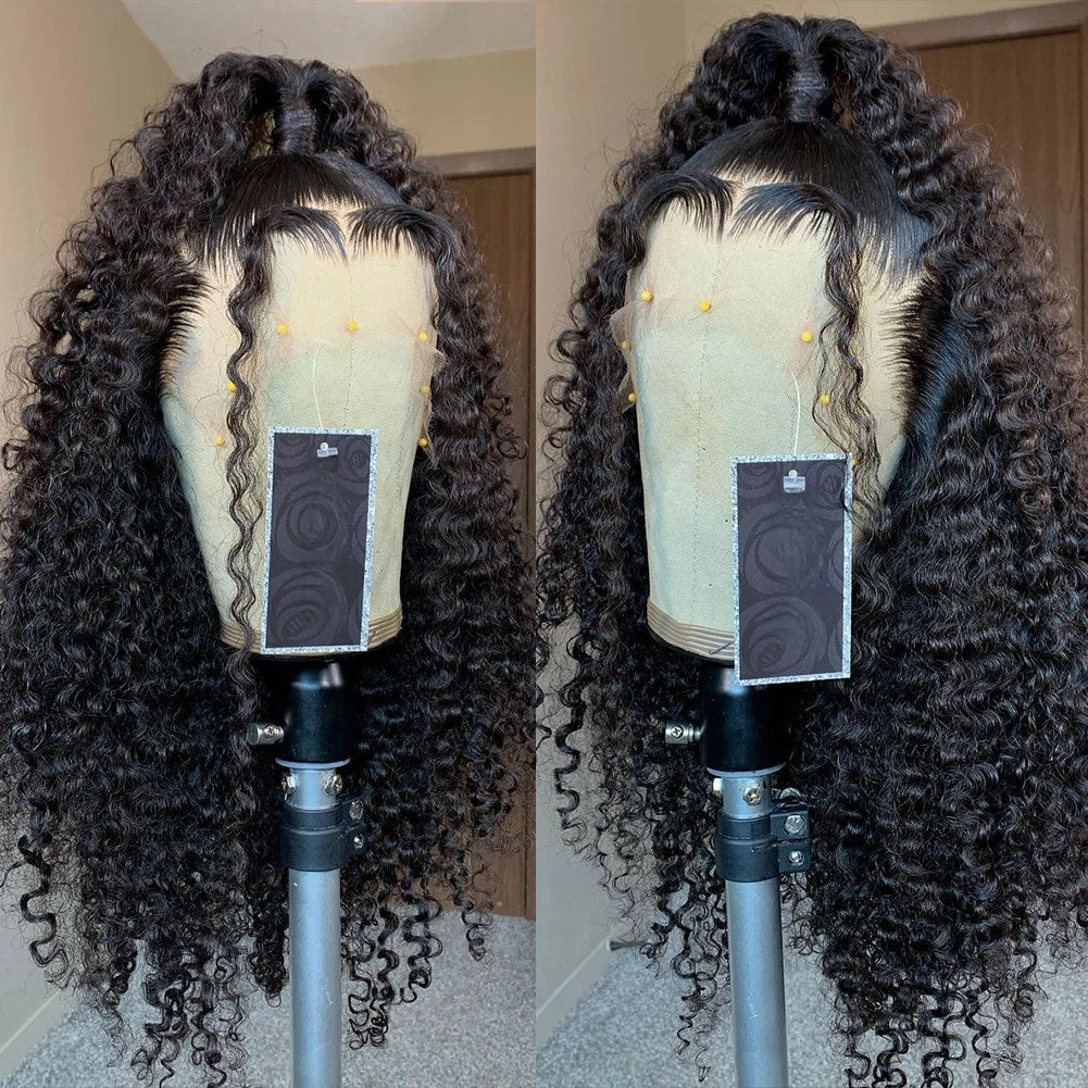Whole Lace Cap Transparent Lace Preplucked Human Hair Full Lace Wig | Burmese Curls