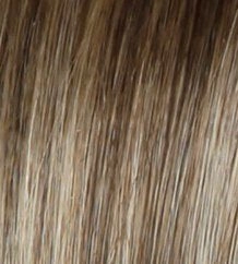 Winner Elite wig - Raquel Welch