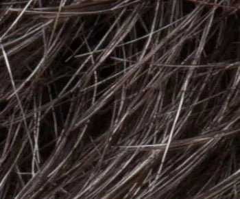 Zoe Mono wig - Ellen Wille Modixx Collection